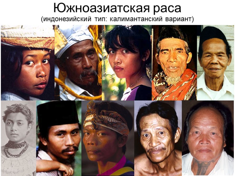 Южноазиатская раса (индонезийский тип: калимантанский вариант)